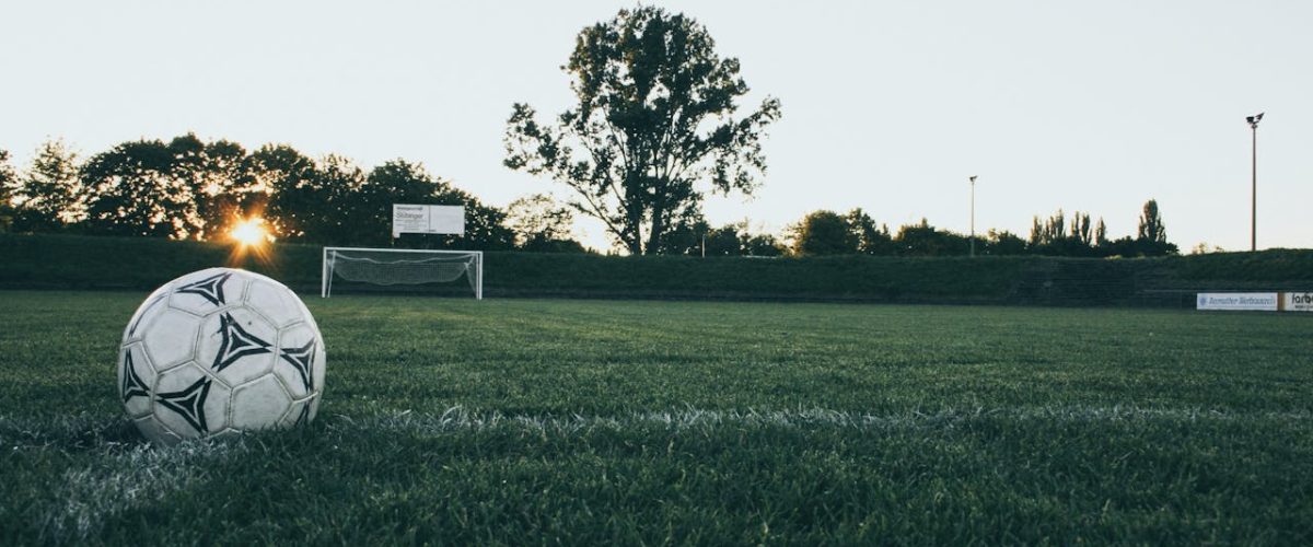 Soccer ball on field at sunrise, serene landscape with goalpost in background.